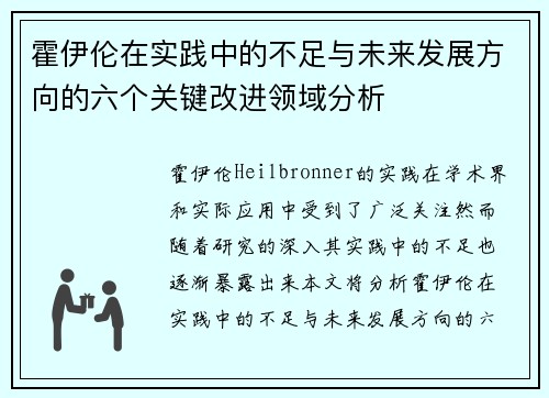 霍伊伦在实践中的不足与未来发展方向的六个关键改进领域分析 霍伊伦在实践中的不足与未来发展方向的六个关键改进领域分析